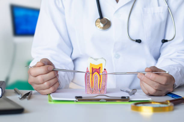 Best Emergency Dental Care for Trauma or Injury in Linden, AZ
